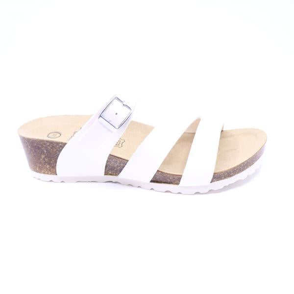 Byron Bay Daisy White
