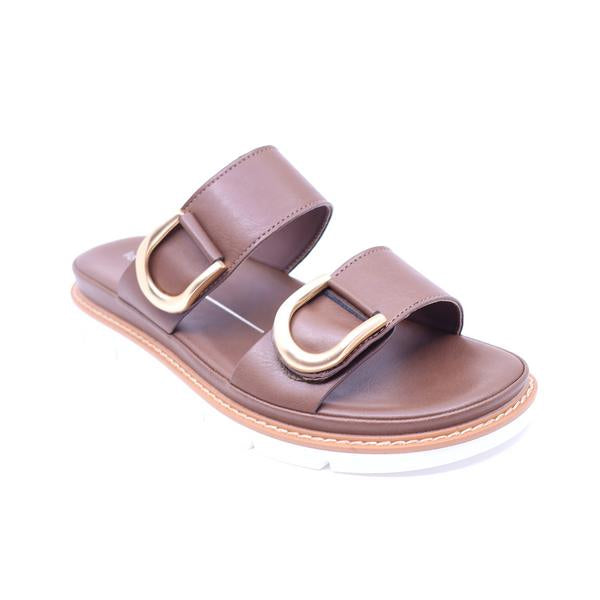 Los Cabos San Chestnut