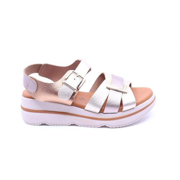 Luxdive 4905 Multi