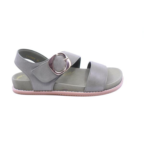 Silver Lining Figtree Olive