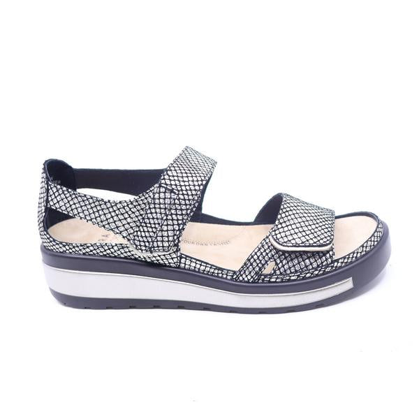 Ziera Gedd Black Gold Print